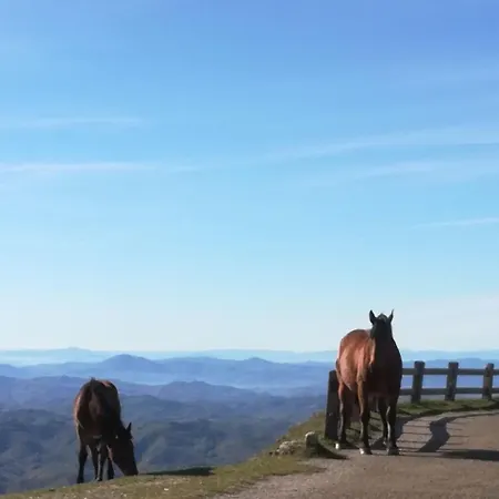 別荘 Ca Piero Mit Pool 13 Bis 16 Personen *